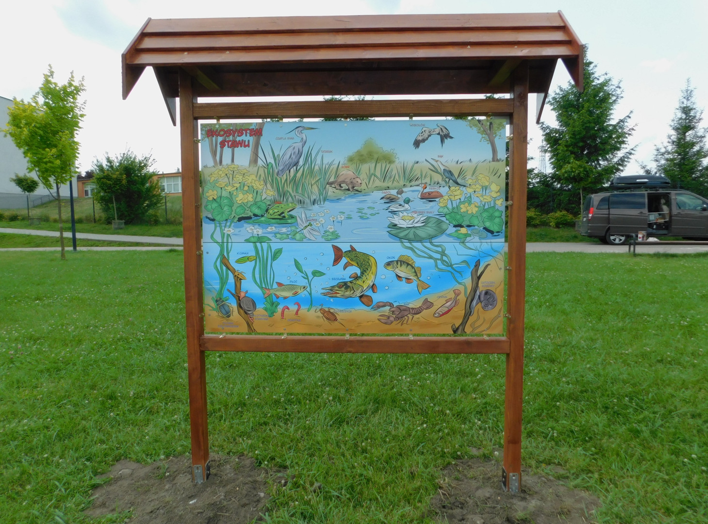 Zdjęcie do projektu Wodny park edukacji ekologicznej na Strefie Aktywnego Wypoczynku na os. Kopernika w Szczecinku.