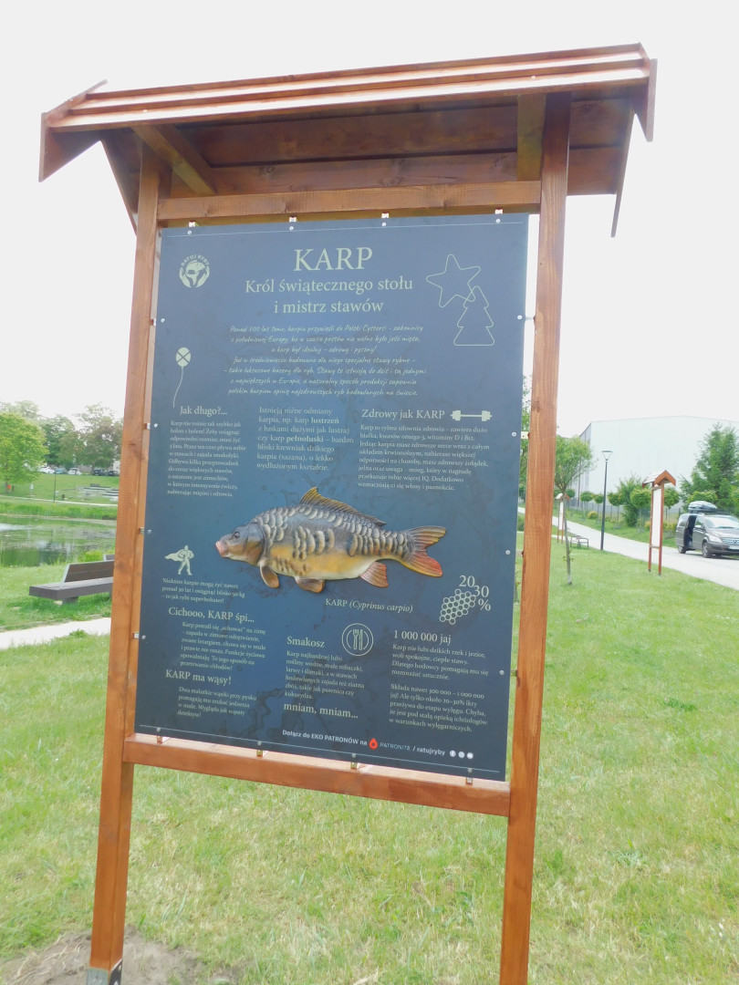 Zdjęcie do projektu Wodny park edukacji ekologicznej na Strefie Aktywnego Wypoczynku na os. Kopernika w Szczecinku.