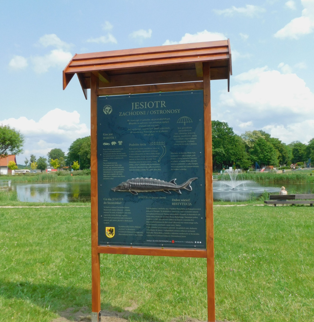 Zdjęcie do projektu Wodny park edukacji ekologicznej na Strefie Aktywnego Wypoczynku na os. Kopernika w Szczecinku.