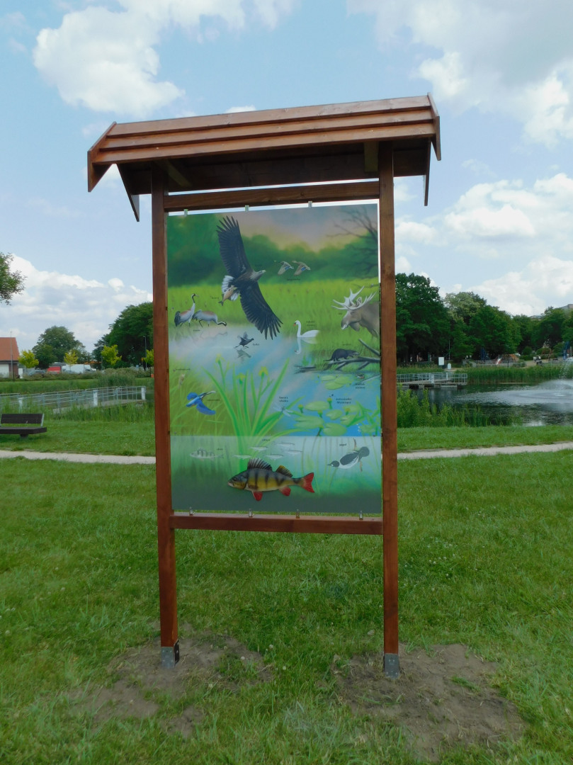 Zdjęcie do projektu Wodny park edukacji ekologicznej na Strefie Aktywnego Wypoczynku na os. Kopernika w Szczecinku.