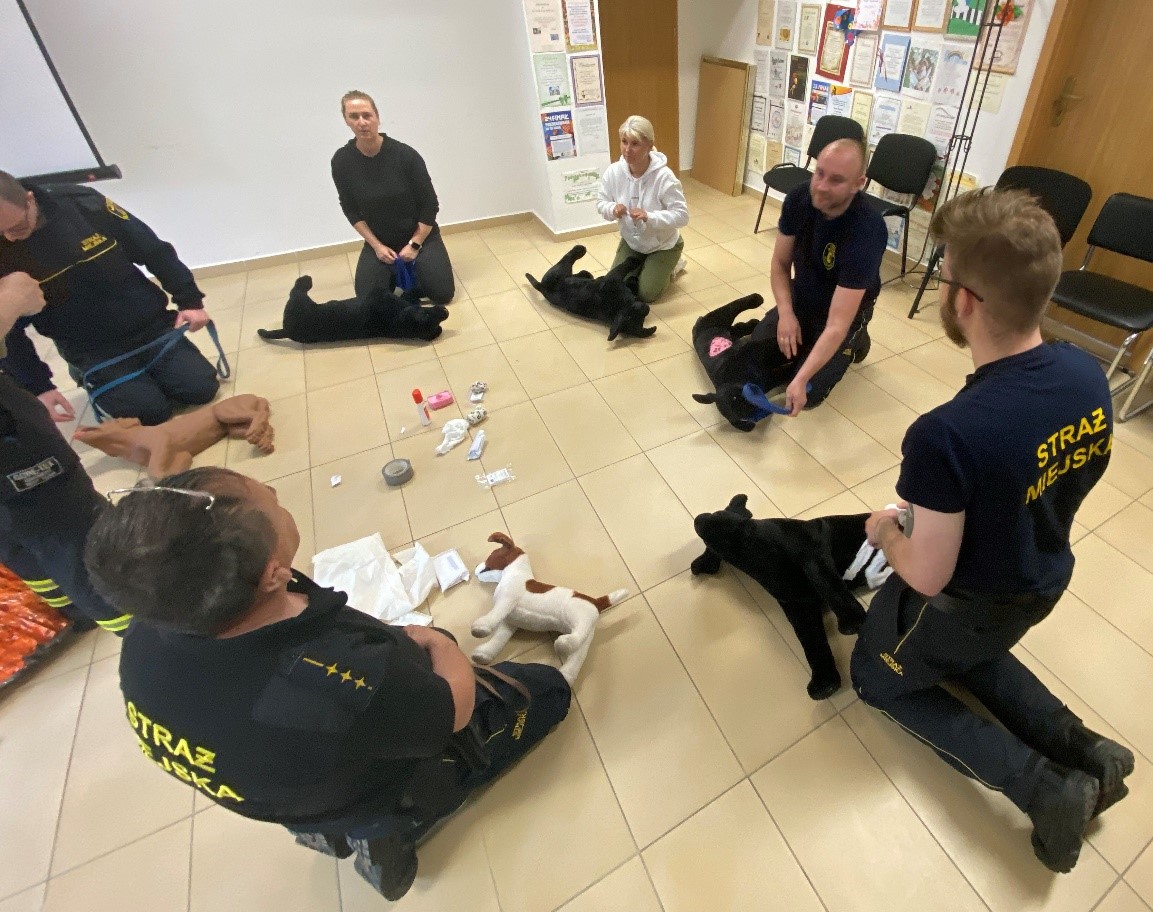 Zdjęcie do projektu Pomoc dla zwierząt