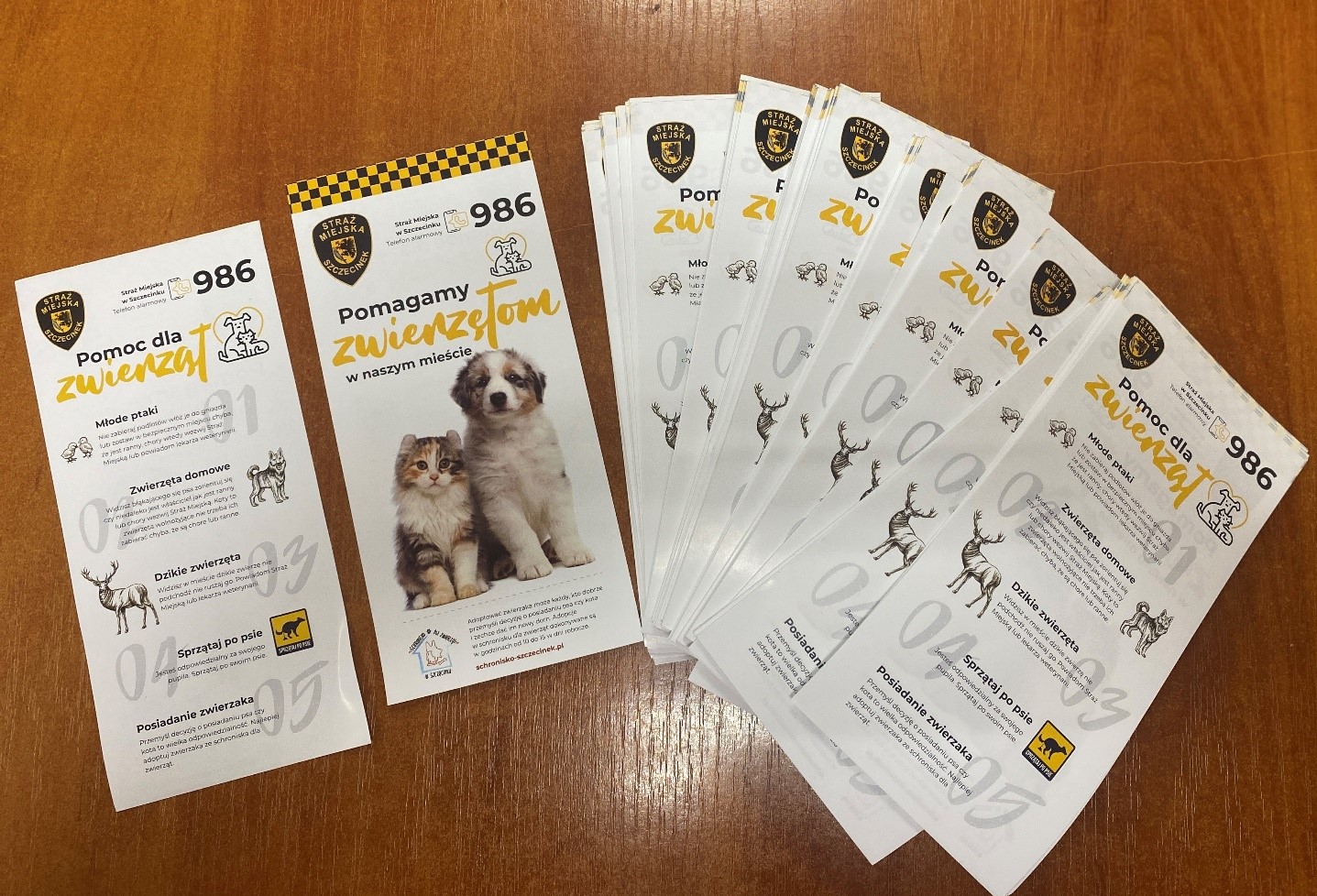 Zdjęcie do projektu Pomoc dla zwierząt